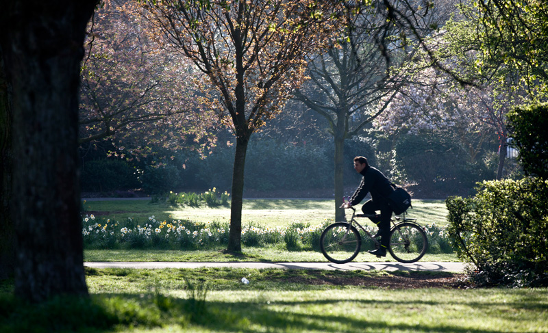 woman cycles through green space with trees cabinet investments in active travel