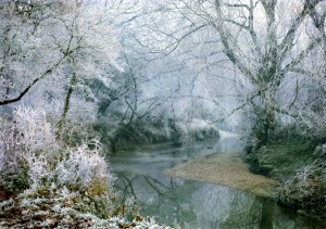 Lothlorien - River Brent in Frost by Clive Hicks was the winner of this year's Living Waterways of North and West London Photo Competition
