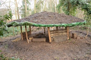 Celtic roundhouse in Litten Reserve