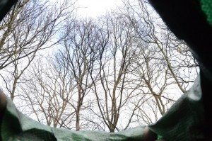 Hole in the roundhouse roof