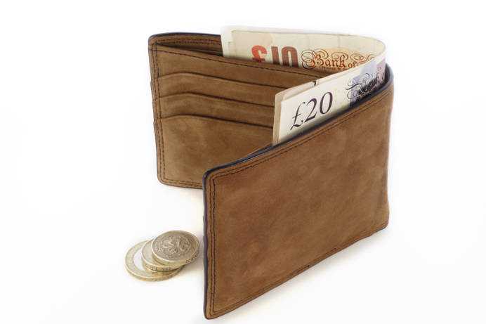 Wallet with money