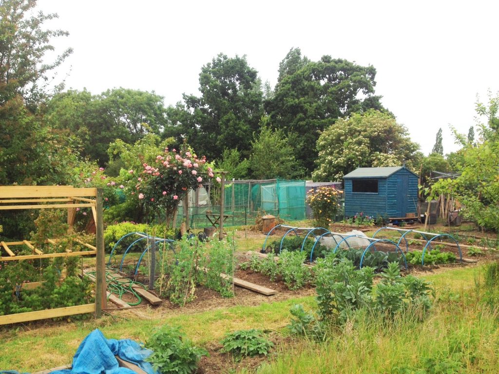 An allotment