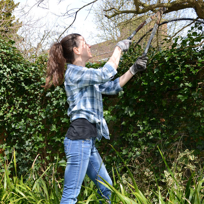 Trimming in the garden