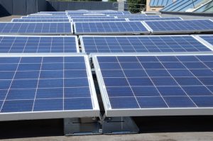 Solar panels on the roof of Castelbar primary school in Ealing