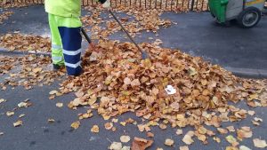Autumn - Street sweepers clearing away fallen leaves