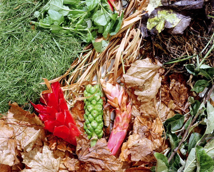 Composting materials