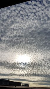 Mackerel sky over Ealing, photo taken by Mark Isles