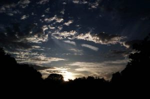 Photos: Sky over Walpole Park, by Philip Hurrell