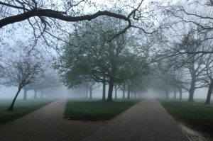 early morning mist in Walpole Park, by Ruth White