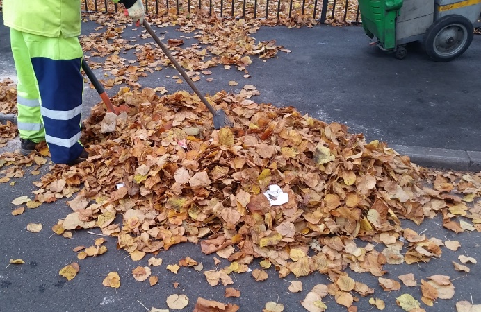 Fallen leaves being swept into piles