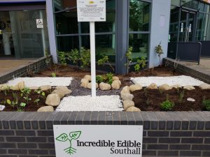 Southall edible garden opening October 2017