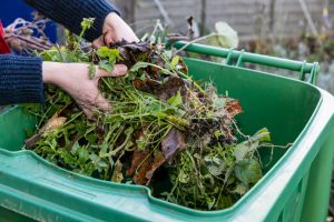 garden waste: your cuttings collected