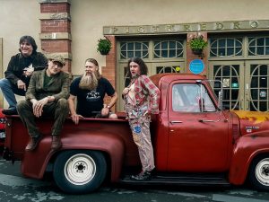 Hayseed Dixie