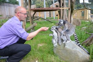 Hanwell Zoo manager Jim Gregory feeding the lemurs