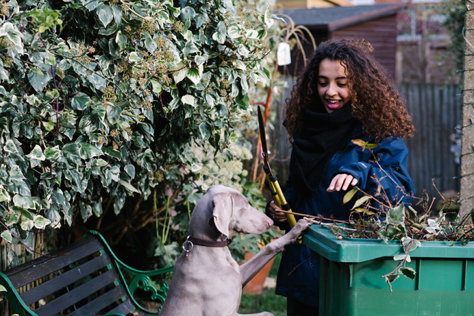 Council's garden waste collection