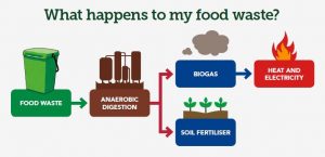 What happens to our food waste