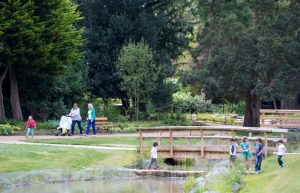 People out walking and enjoying Walpole Park