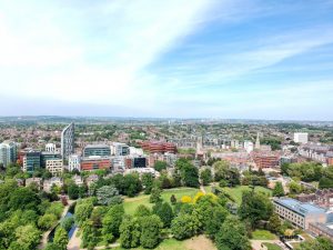 Stuart Scott - aerial photo in Walpole Park Ealing