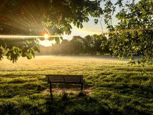 Toby Cross - early morning on Ealing Common