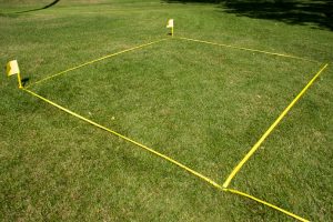 Grass with yellow boundary markings