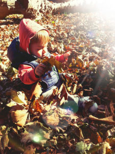 Picture 6 Ilaria - child playing in leaves at Lammas Park