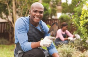 Ealing's garden waste service