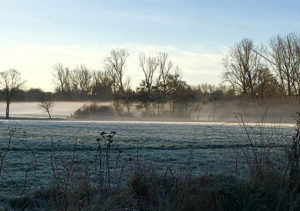 Lynn Wilson - Stockdove Way in Perivale misty morning