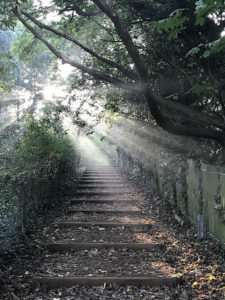 Neil Davies - steps outside St Marys Church next to Brent Valley Golf Course