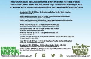 Ealing Wildlife Group events poster