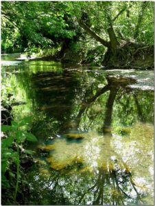 H - Brent River near Pitshanger Park, by Howard Somerville