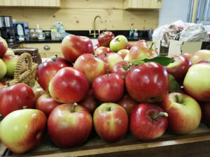Horsenden Farm apples