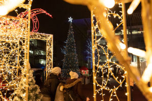 Chiswick Park winter wonderland