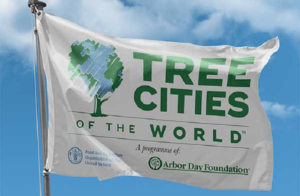Ealing wins Tree Cities of the World status
