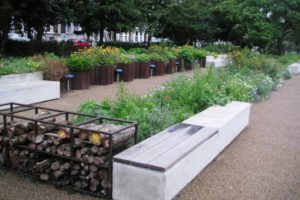 Artist impression of flower garden in Deans Garden