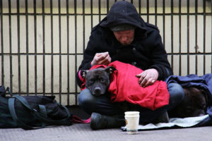 Homeless man and his dog in London. Photo by Nick Fewings (via Unsplash)