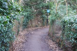 Before picture of Pitshanger Park pathway