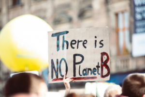 There is no planet B placard held in the air