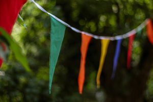 Bunting in a garden