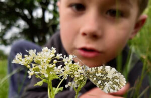 Detail from Ealing Wildlife Group photo competition winner - ‘A Perfect Camouflage’ by Malgorzata Sikora