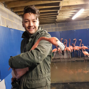 BIAZA rising star Beau of Hanwell Zoo