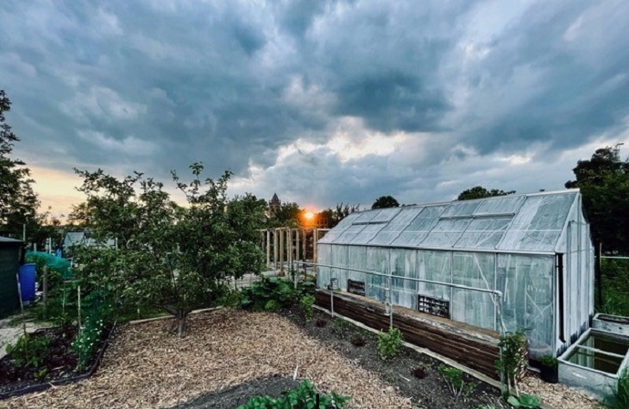 Greenhouse on an allotment