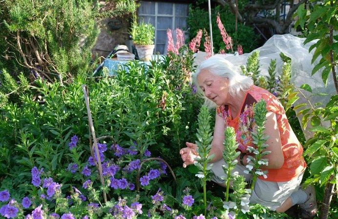 Vinka Reeves on the Haslemere Allotments. Photo copyright of Gill Shaw