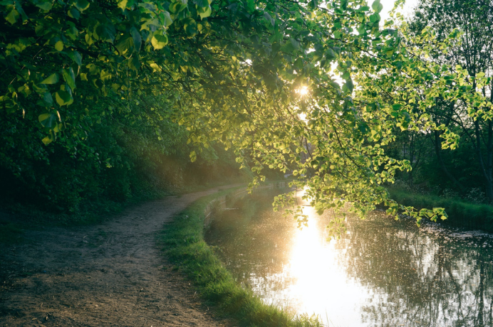 Canal towpath and waterway