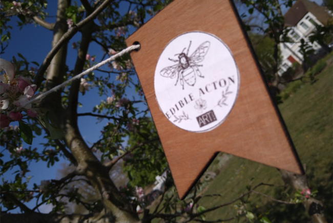 Sign hanging in a tree saying 'Edible Acton'