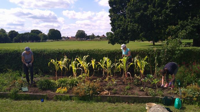 People working on the vegetable beds at the community garden run by Artification