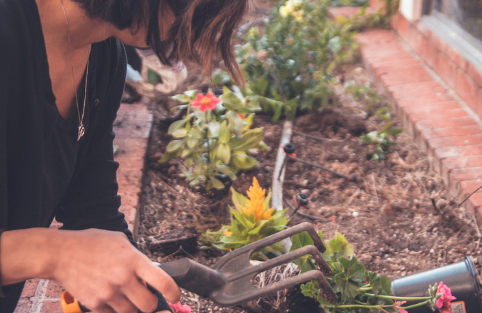 Female planting