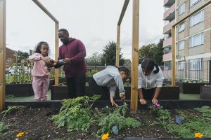 Three girls and a man tending the flower beds in a community garden