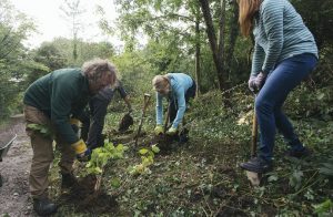 Volunteers plant trees at Horsenden Hilltree nursery