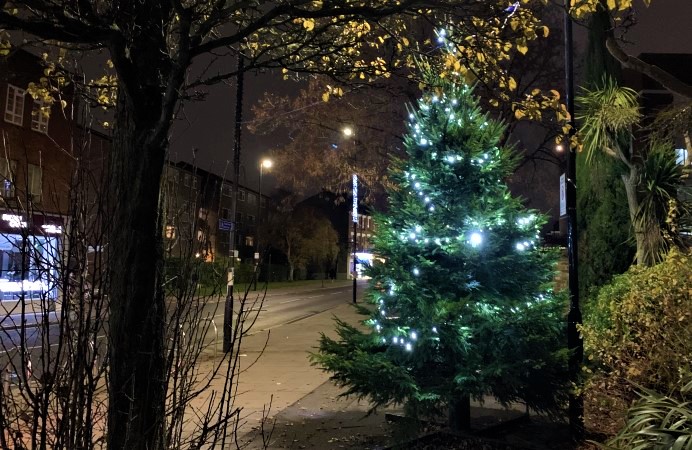 Christmas tree in South Ealing