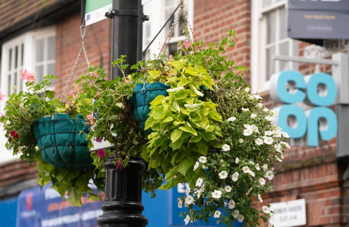 Love Ealing. Love Local hanging baskets on local high street